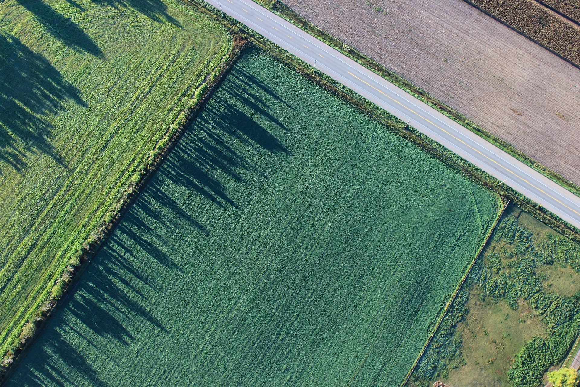 farmland next to a road