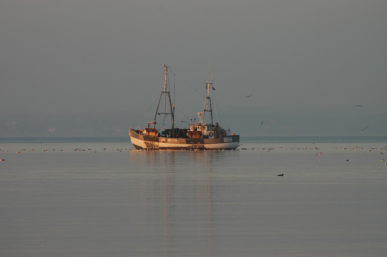 fishing boat on the water