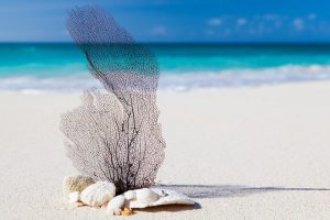 Reef-Safe Sunscreen