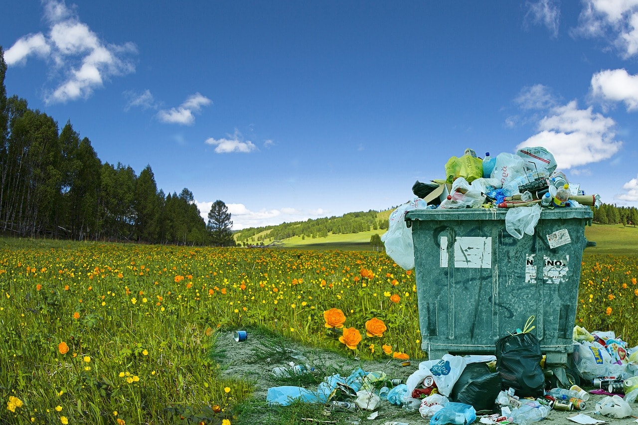 Waste pollution